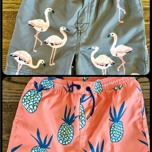 Tea Collection Gray and Pink Flamingo Print Shorts